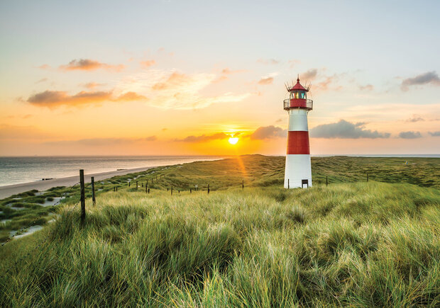 Vuurtoren Duinen Fotobehang 11678P8