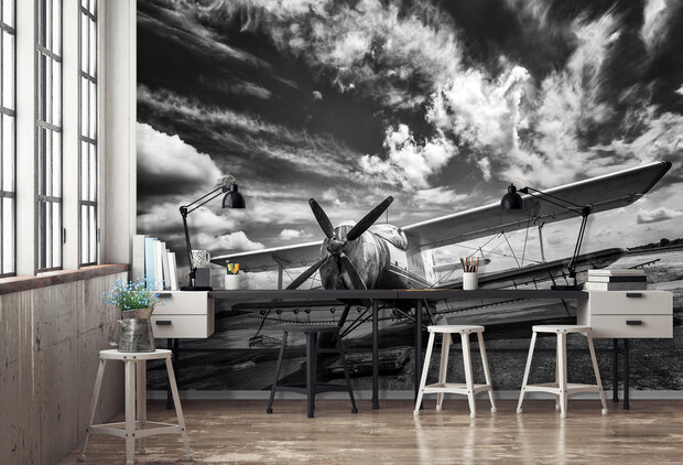 Photo Wall Mural Airplane 11384P8