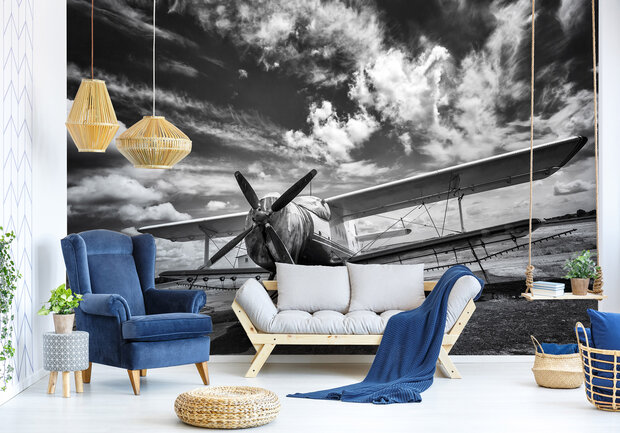 Photo Wall Mural Airplane 11384P8