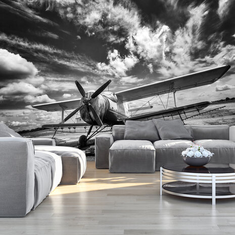 Photo Wall Mural Airplane 11384P8