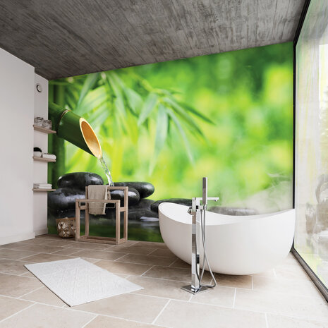 Spa Photo Wall Mural 11407P8