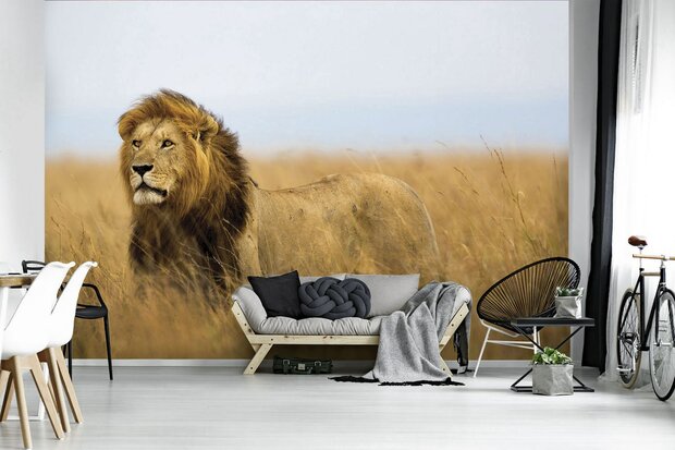 Lion Photo Wall Mural 11750P8