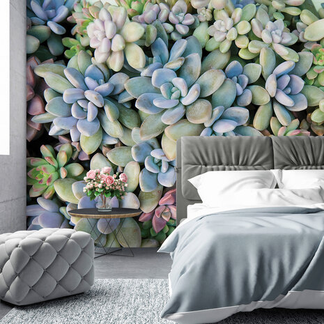 Plants Photo Wall Mural 11757P8