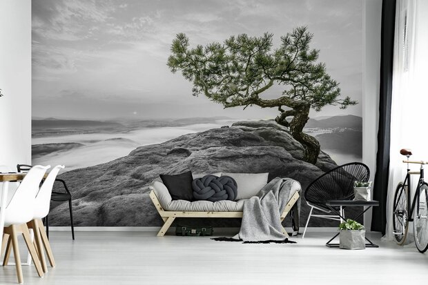 Beach Tree Photo Wall Mural 11759P8