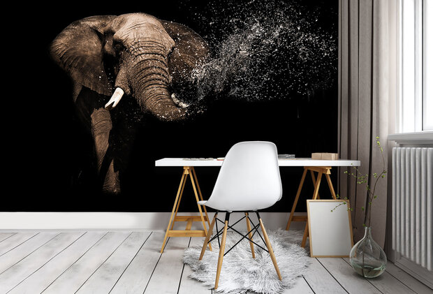 Elephant Photo Wall Mural 11762P8