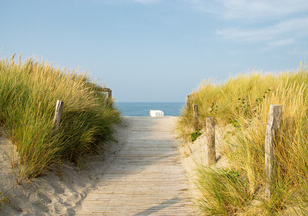 Dunes Walkway Photo Wall Mural 11844P8