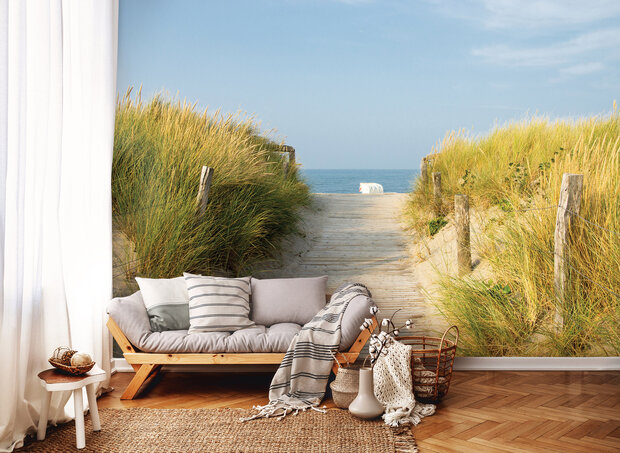 Dunes Walkway Photo Wall Mural 11844P8