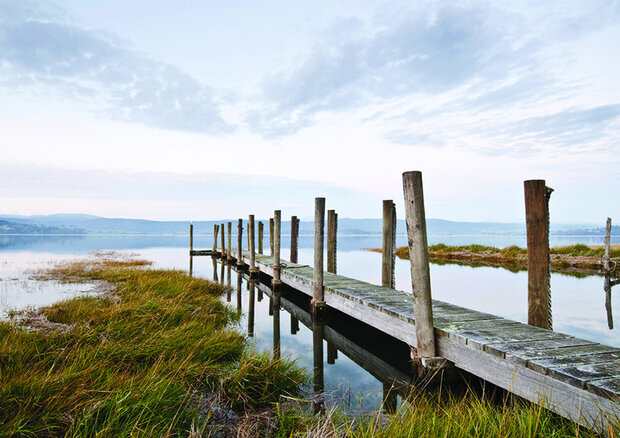 Jetty Photo Wall Mural 12013P8