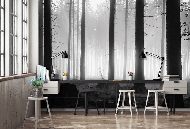 Forest Photo Wall Mural 12067P8