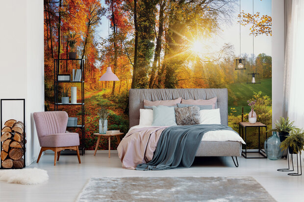 Forest Photo Wall Mural 12108P8