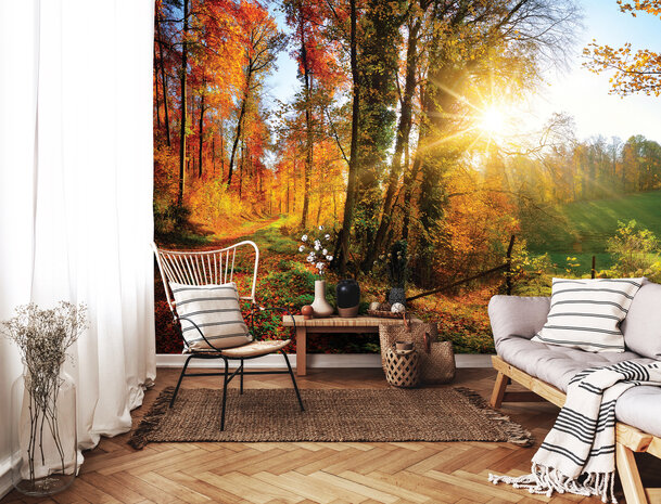 Forest Photo Wall Mural 12108P8