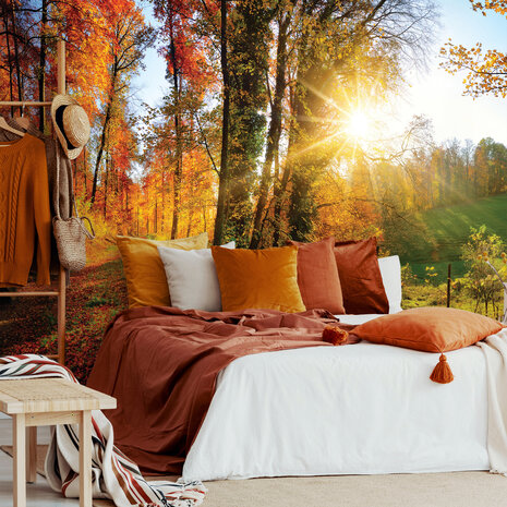 Forest Photo Wall Mural 12108P8