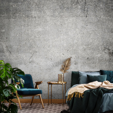 Concrete Photo Wall Mural 12137P8