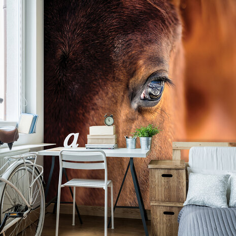 Horse Photo Wallpaper Mural 1216P8