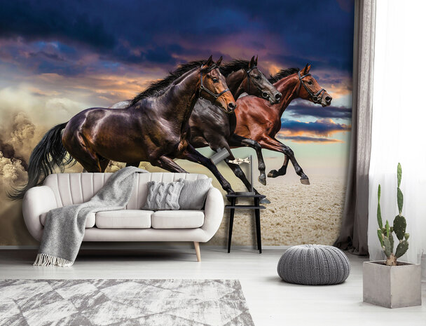 Horses Photo Wallpaper Mural 1217P8