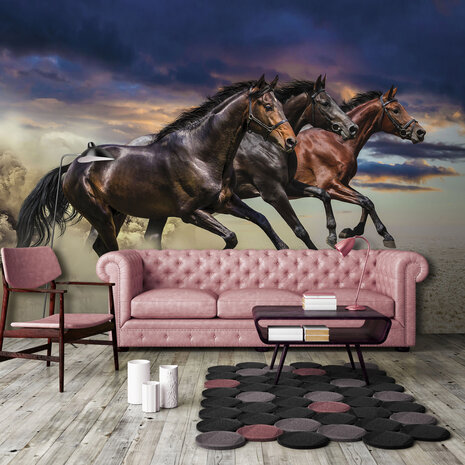 Horses Photo Wallpaper Mural 1217P8