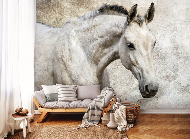 Horse Photo Wallpaper Mural 1218P8
