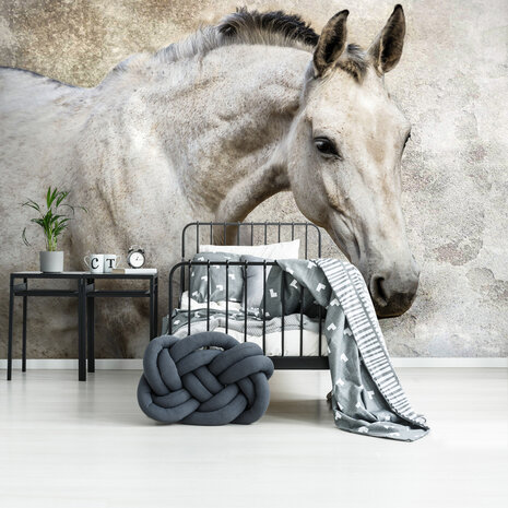 Horse Photo Wallpaper Mural 1218P8