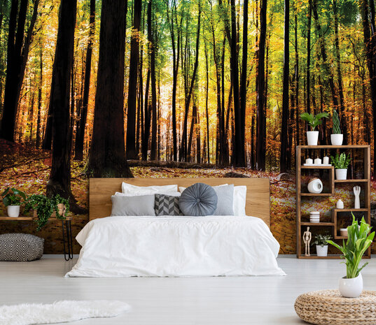 Trees &amp; Leaves Photo Wallpaper Mural 1220P8