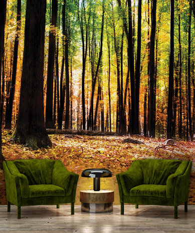 Trees &amp; Leaves Photo Wallpaper Mural 1220P8