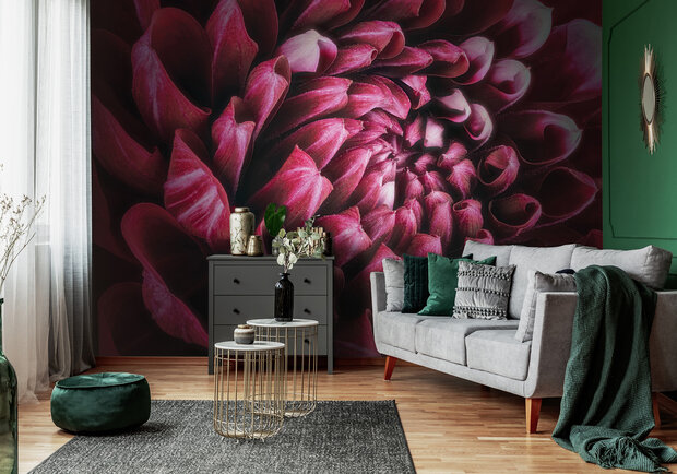 Plant Photo Wall Mural 12710P8