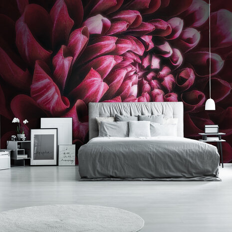 Plant Photo Wall Mural 12710P8