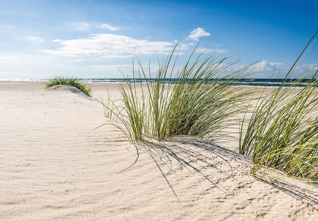 Duinen Fotobehang 13049P8