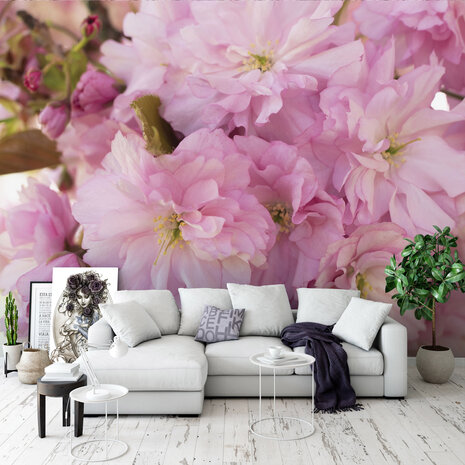 Pink flowers Photo Wall Mural 13282P8