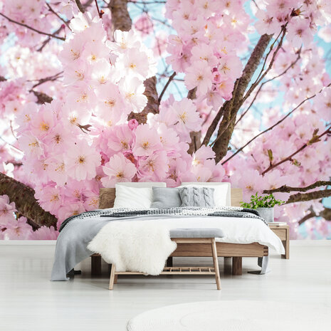 Cherry Blossom Photo Wall Mural 13283P8