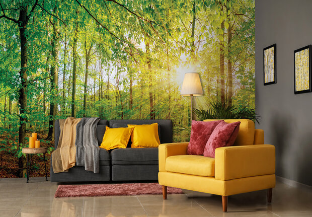 Photo Wall Mural Forest 13462P8