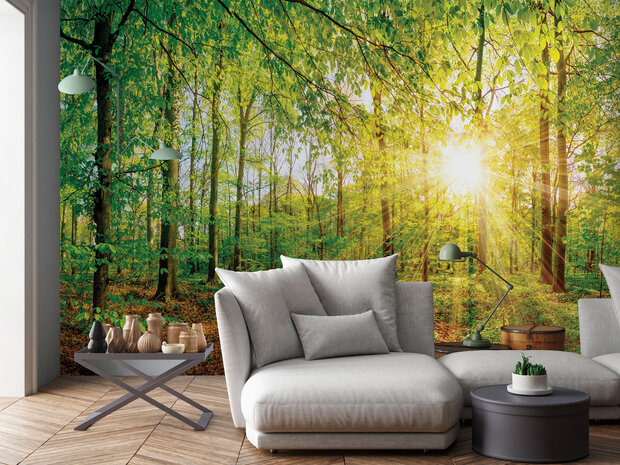 Photo Wall Mural Forest 13462P8