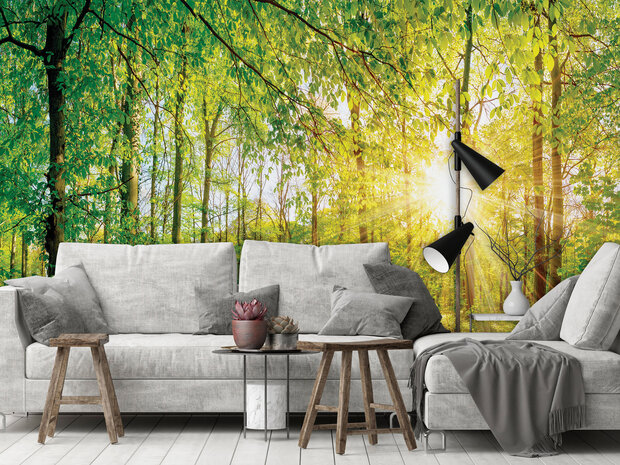 Photo Wall Mural Forest 13462P8