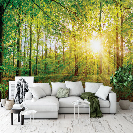 Photo Wall Mural Forest 13462P8