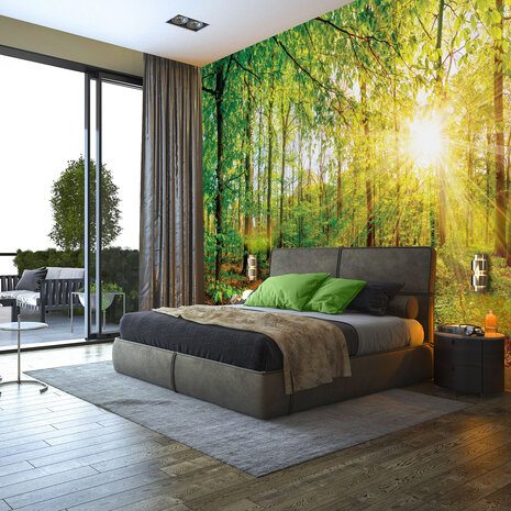 Photo Wall Mural Forest 13462P8