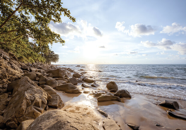 Beach Photo Wall Mural 13306P8