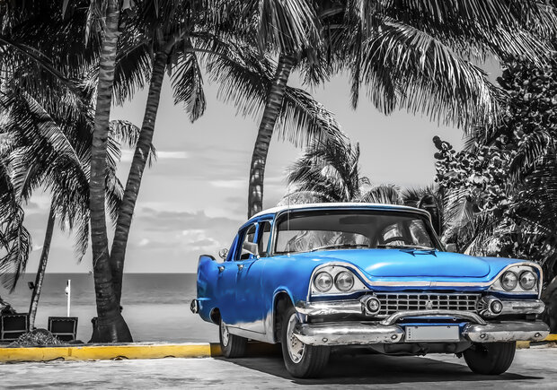 Palmtrees Oldtimer Photo Wall Mural 13335P8