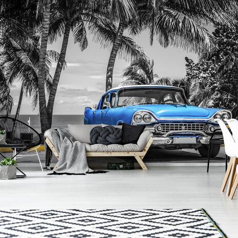 Palmtrees Oldtimer Photo Wall Mural 13335P8