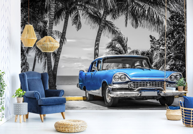 Palmtrees Oldtimer Photo Wall Mural 13335P8