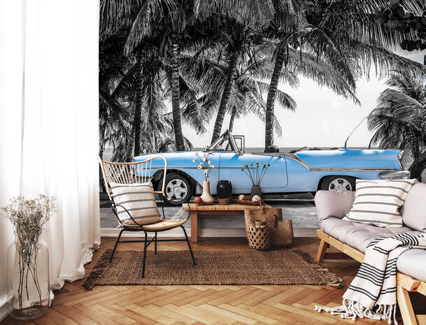 Palmtrees Oldtimer Photo Wall Mural 13336P8