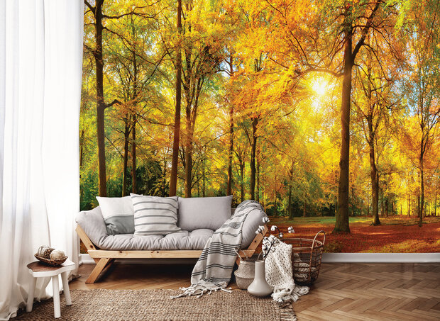 Photo Wall Mural Forest 13460P8