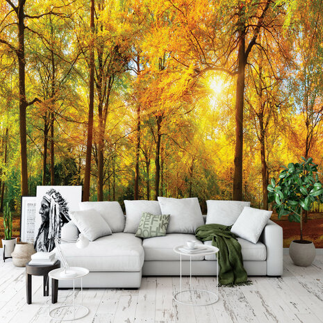 Photo Wall Mural Forest 13460P8