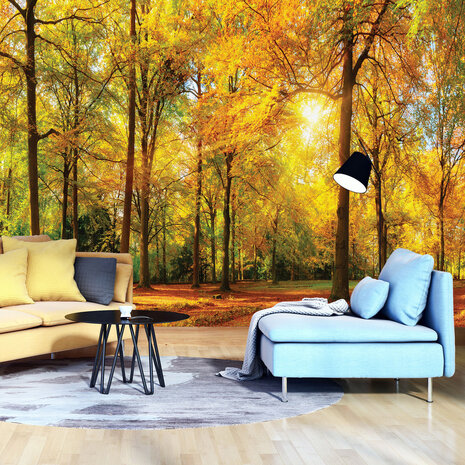 Photo Wall Mural Forest 13460P8