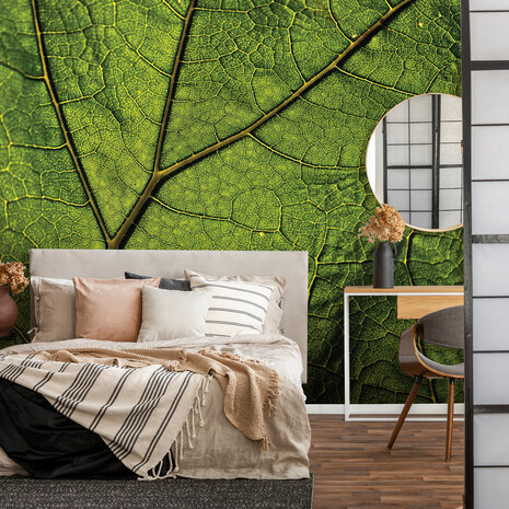 Leaf Photo Wall Mural 13569P8