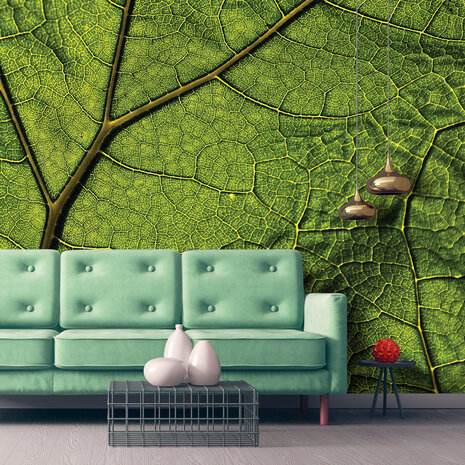 Leaf Photo Wall Mural 13569P8