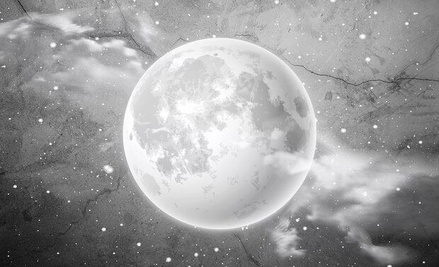 Moon Photo Wall Mural 13574P8