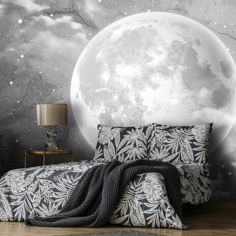 Moon Photo Wall Mural 13574P8