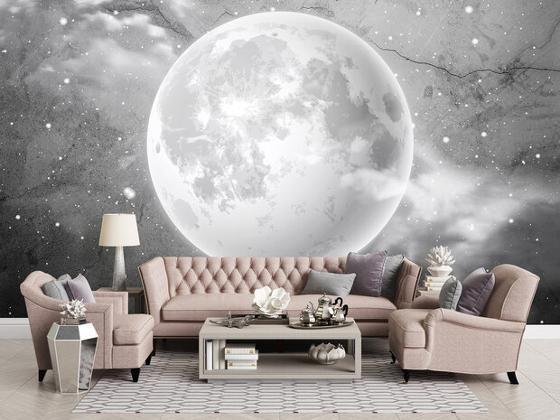 Moon Photo Wall Mural 13574P8