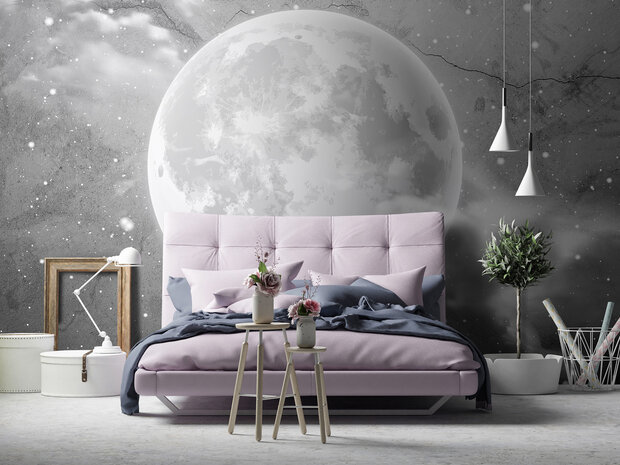 Moon Photo Wall Mural 13574P8