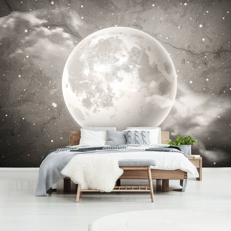 Moon Photo Wall Mural 13575P8