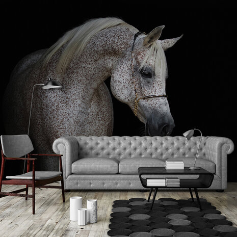 Horse Photo Wall Mural 13596P8